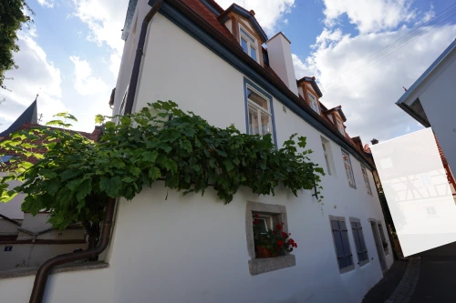 Einfamilienhaus Randersacker Mainland Immobilien